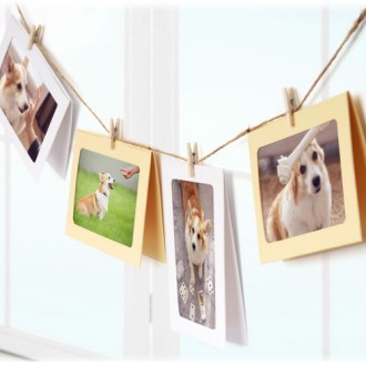 �����̾� ���̾��� ī��Ÿ�� 4x6inch