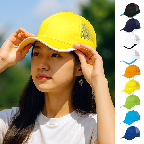 NSCAP ���� ���� ĸ���� 1739-NS