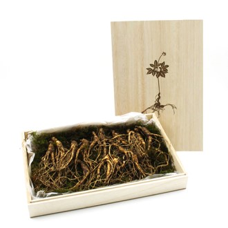 ���� ����� 12~15��� �����̾� ������Ʈ