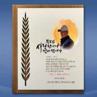 ���� �ǹ����� SD13) 358-1